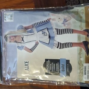 Alice in wonderland costume
